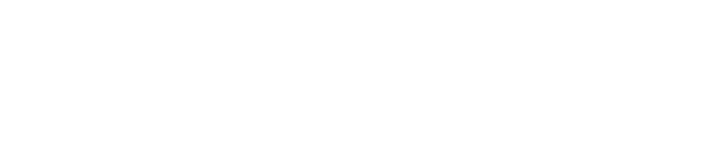 logo icon 1